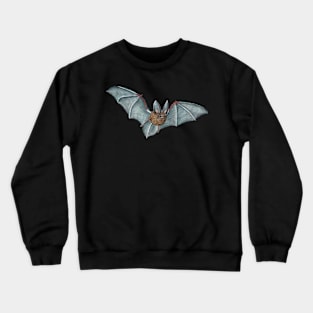 bat Crewneck Sweatshirt